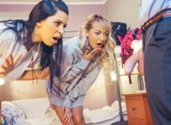 Fake Hostel – The Visa Inspector – Lola Shine